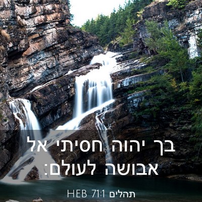 Picture 03 - תהלים 71:1 HEB - בך יהוה חסיתי אל אבושה - Bible Verse Picture