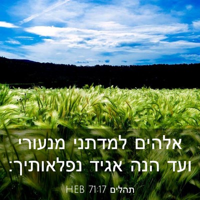 Picture 03 - תהלים 71:17 HEB - אלהים למדתני מנעורי ועד - Bible Verse Picture