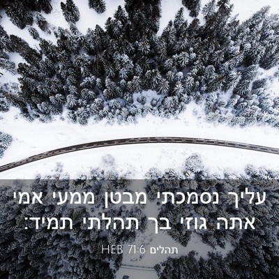 Picture 03 - תהלים 71:6 HEB - עליך נסמכתי מבטן ממעי אמי - Bible Verse Picture