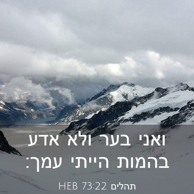 Picture 03 - תהלים 73:22 HEB - ואני בער ולא אדע בהמות - Bible Verse Picture