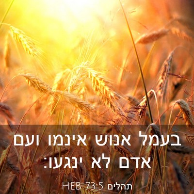 Picture 03 - תהלים 73:5 HEB - בעמל אנוש אינמו ועם אדם לא - Bible Verse Picture