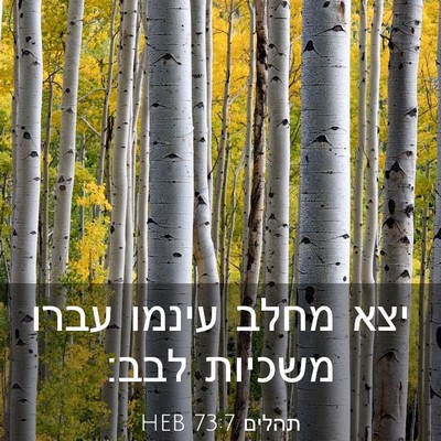 Picture 03 - תהלים 73:7 HEB - יצא מחלב עינמו עברו משכיות - Bible Verse Picture