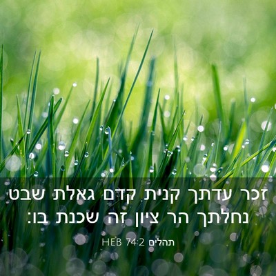 Picture 03 - תהלים 74:2 HEB - זכר עדתך קנית קדם גאלת שבט - Bible Verse Picture