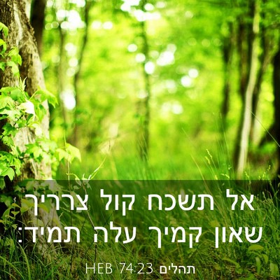 Picture 03 - תהלים 74:23 HEB - אל תשכח קול צרריך שאון קמיך - Bible Verse Picture