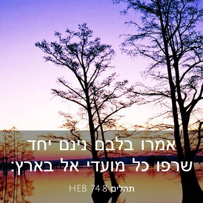 Picture 03 - תהלים 74:8 HEB - אמרו בלבם נינם יחד שרפו כל - Bible Verse Picture