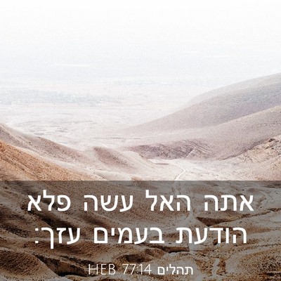 Picture 03 - תהלים 77:14 HEB - אתה האל עשה פלא הודעת בעמים - Bible Verse Picture