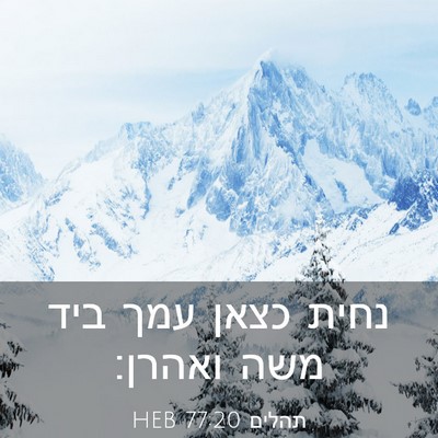 Picture 03 - תהלים 77:20 HEB - נחית כצאן עמך ביד משה - Bible Verse Picture