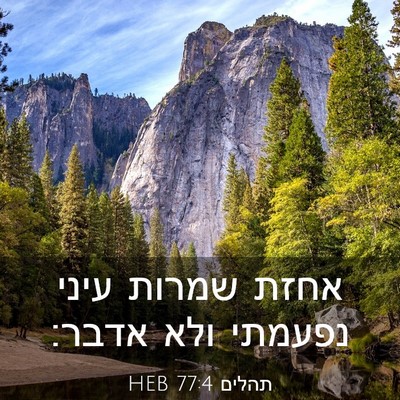 Picture 03 - תהלים 77:4 HEB - אחזת שמרות עיני נפעמתי ולא - Bible Verse Picture