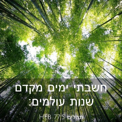Picture 03 - תהלים 77:5 HEB - חשבתי ימים מקדם שנות - Bible Verse Picture