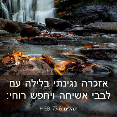 Picture 03 - תהלים 77:6 HEB - אזכרה נגינתי בלילה עם לבבי - Bible Verse Picture