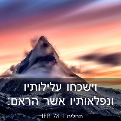 Picture 03 - תהלים 78:11 HEB - וישכחו עלילותיו ונפלאותיו - Bible Verse Picture