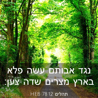 Picture 03 - תהלים 78:12 HEB - נגד אבותם עשה פלא בארץ - Bible Verse Picture