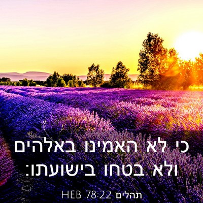 Picture 03 - תהלים 78:22 HEB - כי לא האמינו באלהים ולא - Bible Verse Picture