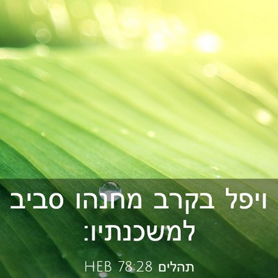 Picture 03 - תהלים 78:28 HEB - ויפל בקרב מחנהו סביב - Bible Verse Picture