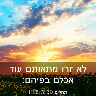 Picture 03 - תהלים 78:30 HEB - לא זרו מתאותם עוד אכלם - Bible Verse Picture