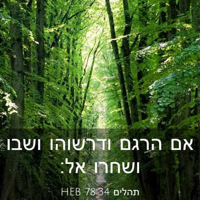 Picture 03 - תהלים 78:34 HEB - אם הרגם ודרשוהו ושבו ושחרו - Bible Verse Picture