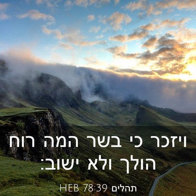 Picture 03 - תהלים 78:39 HEB - ויזכר כי בשר המה רוח הולך - Bible Verse Picture