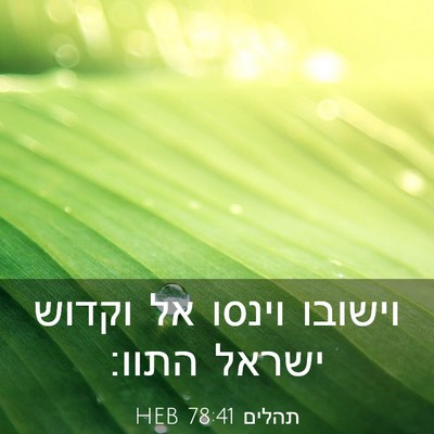Picture 03 - תהלים 78:41 HEB - וישובו וינסו אל וקדוש - Bible Verse Picture