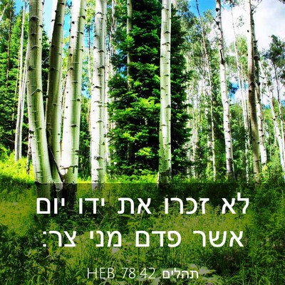 Picture 03 - תהלים 78:42 HEB - לא זכרו את ידו יום אשר פדם - Bible Verse Picture