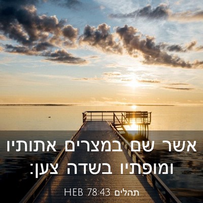 Picture 03 - תהלים 78:43 HEB - אשר שם במצרים אתותיו - Bible Verse Picture