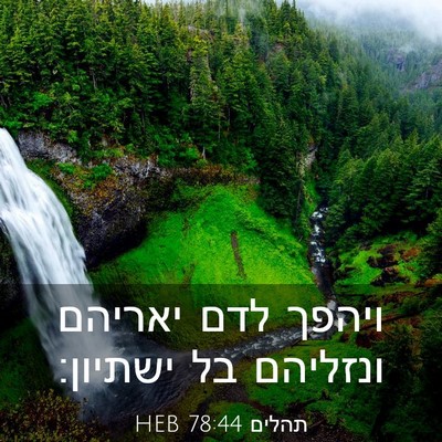 Picture 03 - תהלים 78:44 HEB - ויהפך לדם יאריהם ונזליהם - Bible Verse Picture