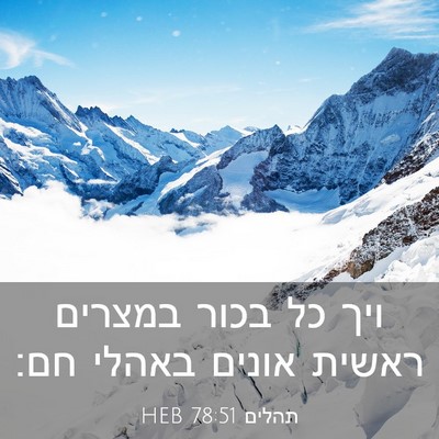 Picture 03 - תהלים 78:51 HEB - ויך כל בכור במצרים ראשית - Bible Verse Picture