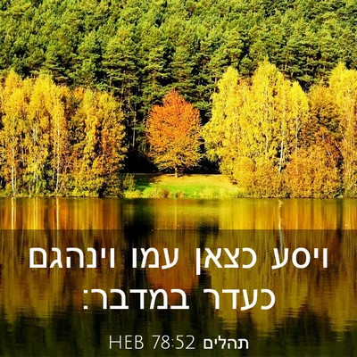 Picture 03 - תהלים 78:52 HEB - ויסע כצאן עמו וינהגם כעדר - Bible Verse Picture
