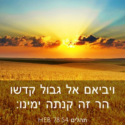 Picture 03 - תהלים 78:54 HEB - ויביאם אל גבול קדשו הר זה - Bible Verse Picture
