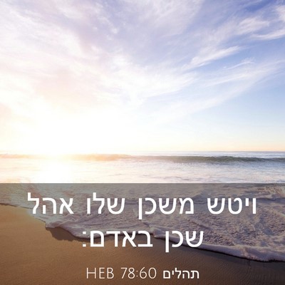Picture 03 - תהלים 78:60 HEB - ויטש משכן שלו אהל שכן - Bible Verse Picture