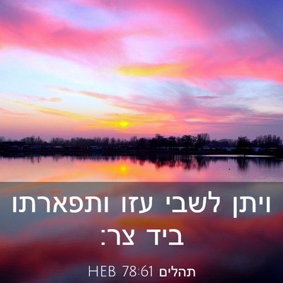 Picture 03 - תהלים 78:61 HEB - ויתן לשבי עזו ותפארתו ביד - Bible Verse Picture