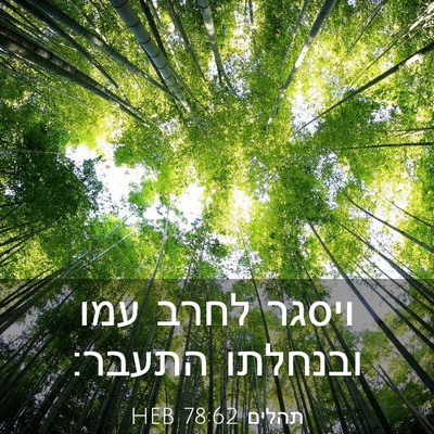 Picture 03 - תהלים 78:62 HEB - ויסגר לחרב עמו ובנחלתו - Bible Verse Picture