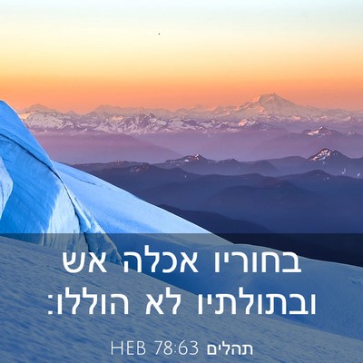 Picture 03 - תהלים 78:63 HEB - בחוריו אכלה אש ובתולתיו לא - Bible Verse Picture