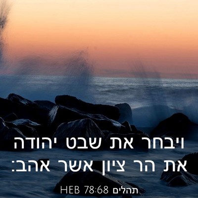 Picture 03 - תהלים 78:68 HEB - ויבחר את שבט יהודה את הר - Bible Verse Picture