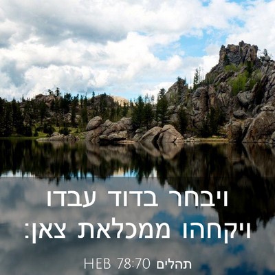 Picture 03 - תהלים 78:70 HEB - ויבחר בדוד עבדו ויקחהו - Bible Verse Picture