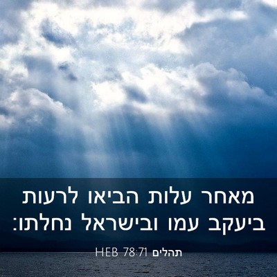 Picture 03 - תהלים 78:71 HEB - מאחר עלות הביאו לרעות - Bible Verse Picture