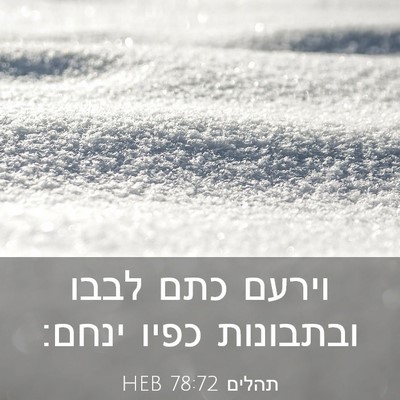 Picture 03 - תהלים 78:72 HEB - וירעם כתם לבבו ובתבונות - Bible Verse Picture