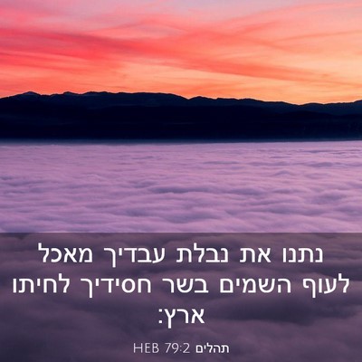 Picture 03 - תהלים 79:2 HEB - נתנו את נבלת עבדיך מאכל - Bible Verse Picture