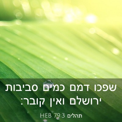 Picture 03 - תהלים 79:3 HEB - שפכו דמם כמים סביבות - Bible Verse Picture