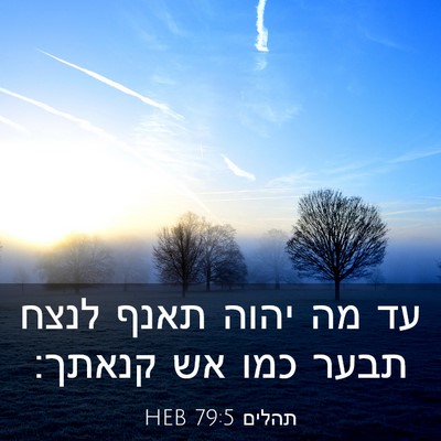 Picture 03 - תהלים 79:5 HEB - עד מה יהוה תאנף לנצח תבער - Bible Verse Picture