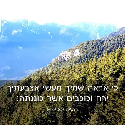 Picture 03 - תהלים 8:3 HEB - כי אראה שמיך מעשי אצבעתיך - Bible Verse Picture