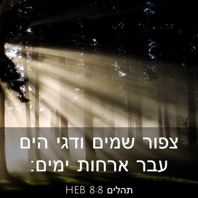 Picture 03 - תהלים 8:8 HEB - צפור שמים ודגי הים עבר - Bible Verse Picture