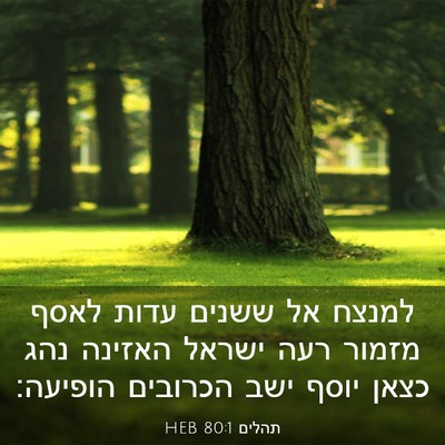 Picture 03 - תהלים 80:1 HEB - למנצח אל ששנים עדות לאסף - Bible Verse Picture