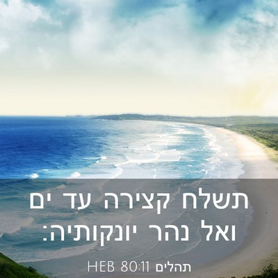Picture 03 - תהלים 80:11 HEB - תשלח קצירה עד ים ואל נהר - Bible Verse Picture