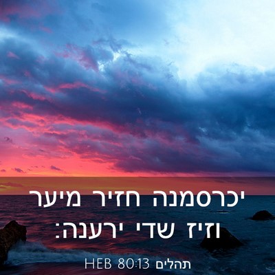 Picture 03 - תהלים 80:13 HEB - יכרסמנה חזיר מיער וזיז שדי - Bible Verse Picture