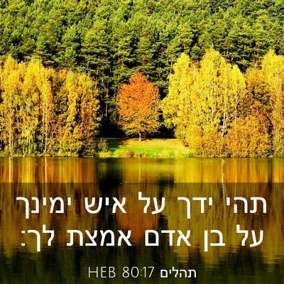Picture 03 - תהלים 80:17 HEB - תהי ידך על איש ימינך על בן - Bible Verse Picture