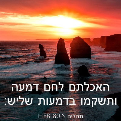 Picture 03 - תהלים 80:5 HEB - האכלתם לחם דמעה ותשקמו - Bible Verse Picture