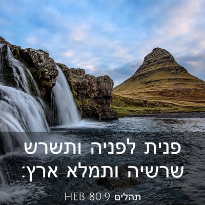 Picture 03 - תהלים 80:9 HEB - פנית לפניה ותשרש שרשיה - Bible Verse Picture