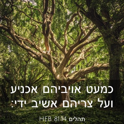 Picture 03 - תהלים 81:14 HEB - כמעט אויביהם אכניע ועל - Bible Verse Picture