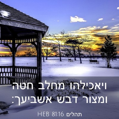 Picture 03 - תהלים 81:16 HEB - ויאכילהו מחלב חטה ומצור - Bible Verse Picture