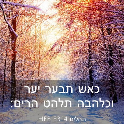 Picture 03 - תהלים 83:14 HEB - כאש תבער יער וכלהבה תלהט - Bible Verse Picture